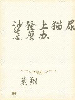 沙发上猫尿很臭怎么办