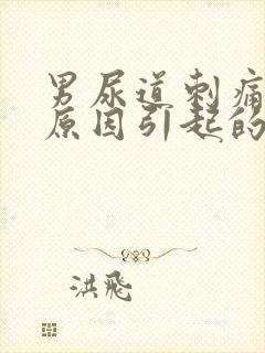 男尿道刺痛什么原因引起的