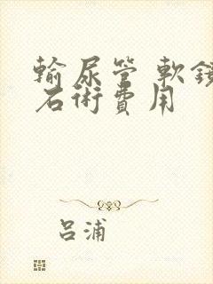 输尿管 软镜取石术费用