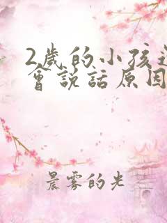 2岁的小孩还不会说话原因