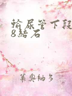 输尿管下段0.8结石