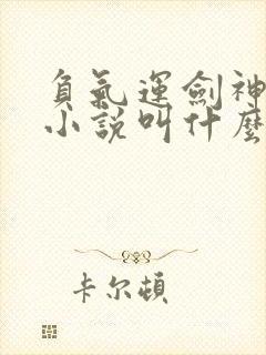 负气运剑神原著小说叫什么