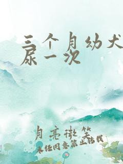 三个月幼犬多久尿一次