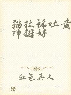 猫拉稀吐黄水精神挺好