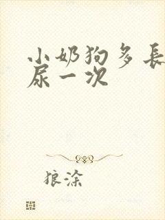 小奶狗多长时间尿一次