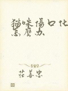 猫咪伤口化脓了怎么办