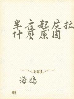 半夜起床拉尿是什么原因