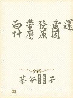 白带发黄还臭是什么原因