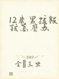 12岁男孩叛逆该怎么办