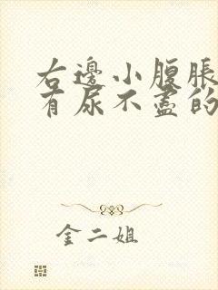 右边小腹胀痛总有尿不尽的感觉什么原因