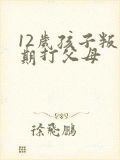 12岁孩子叛逆期打父母