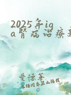 2025年iga肾病治疗新药