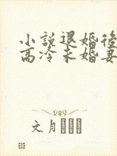 小说退婚后我的高冷未婚妻后悔了主角