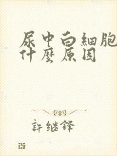 尿中白细胞高是什么原因