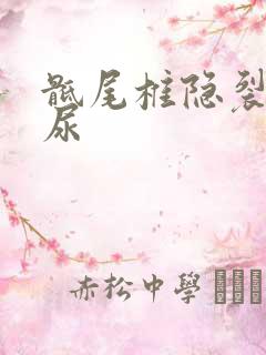 骶尾椎隐裂与遗尿