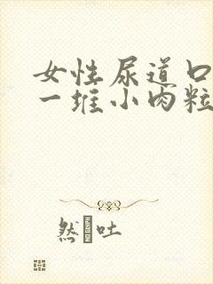 女性尿道口起了一堆小肉粒