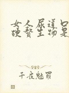 女人尿道口里长硬赘生物是怎么回事