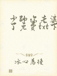 少帅你老婆又跑了免费txt下载