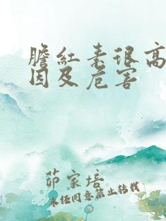 胆红素很高的原因及危害