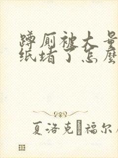 蹲厕被大量卫生纸堵了怎么办