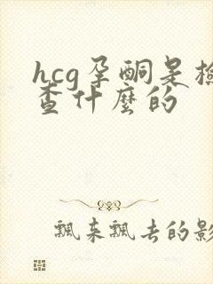 hcg孕酮是检查什么的