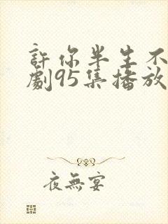 许你半生不见短剧95集播放