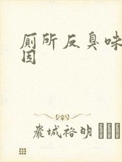 厕所反臭味的原因