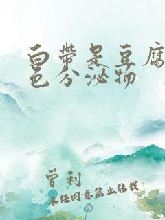 白带是豆腐渣黄色分泌物