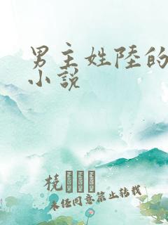 男主姓陆的总裁小说