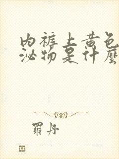 内裤上黄色的分泌物是什么原因