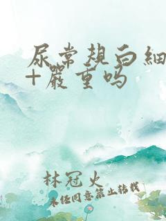 尿常规白细胞3+严重吗