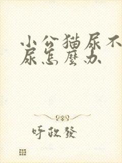 小公猫尿不出来尿怎么办