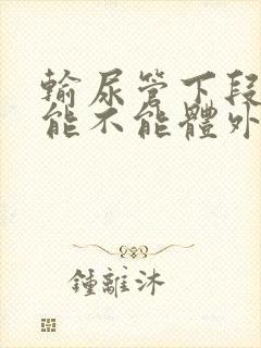 输尿管下段结石能不能体外碎石