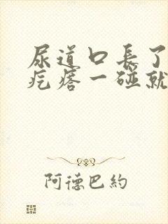 尿道口长了个肉疙瘩一碰就疼