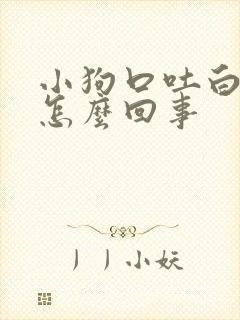 小狗口吐白沫是怎么回事