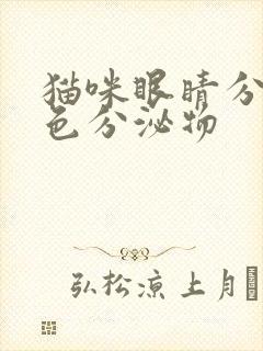 猫咪眼睛分泌黄色分泌物