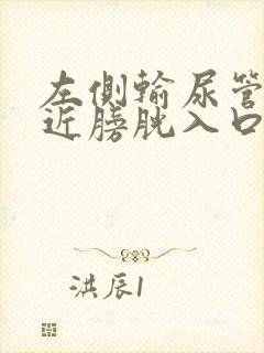 左侧输尿管末端近膀胱入口处结石