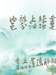 内裤上经常有黄色分泌物是什么原因