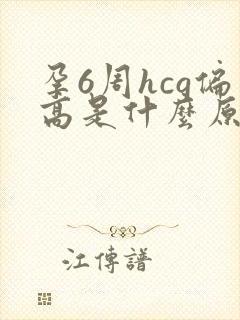 孕6周hcg偏高是什么原因