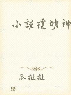 小说琼明神女录