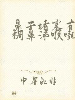 鼻子堵塞有黄粘稠鼻涕喉咙痛吃什么药