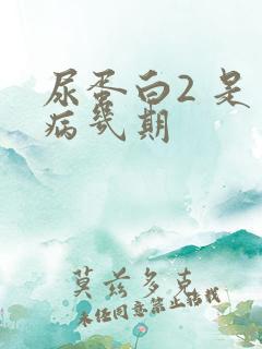 尿蛋白2 是肾病几期