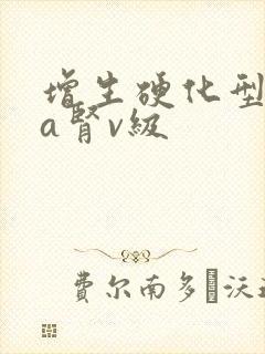 增生硬化型iga肾v级