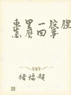 车里一股腥臭味怎么回事