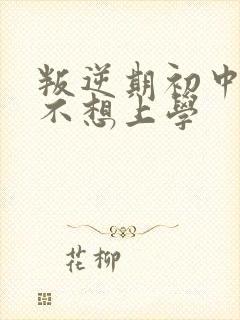 叛逆期初中男孩不想上学