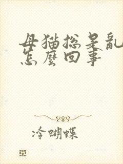 母猫总是乱尿是怎么回事