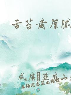 舌苔黄厚腻症状