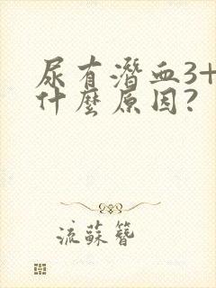 尿有潜血3+是什么原因?