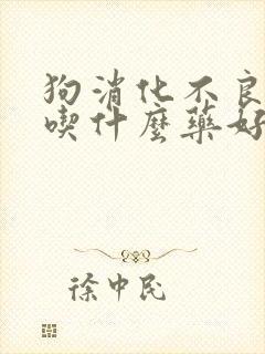 狗消化不良吐了吃什么药好