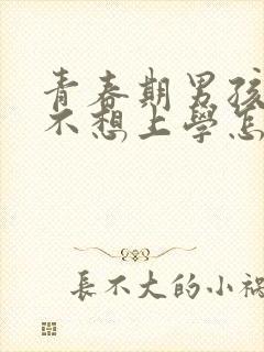 青春期男孩叛逆不想上学怎么管教